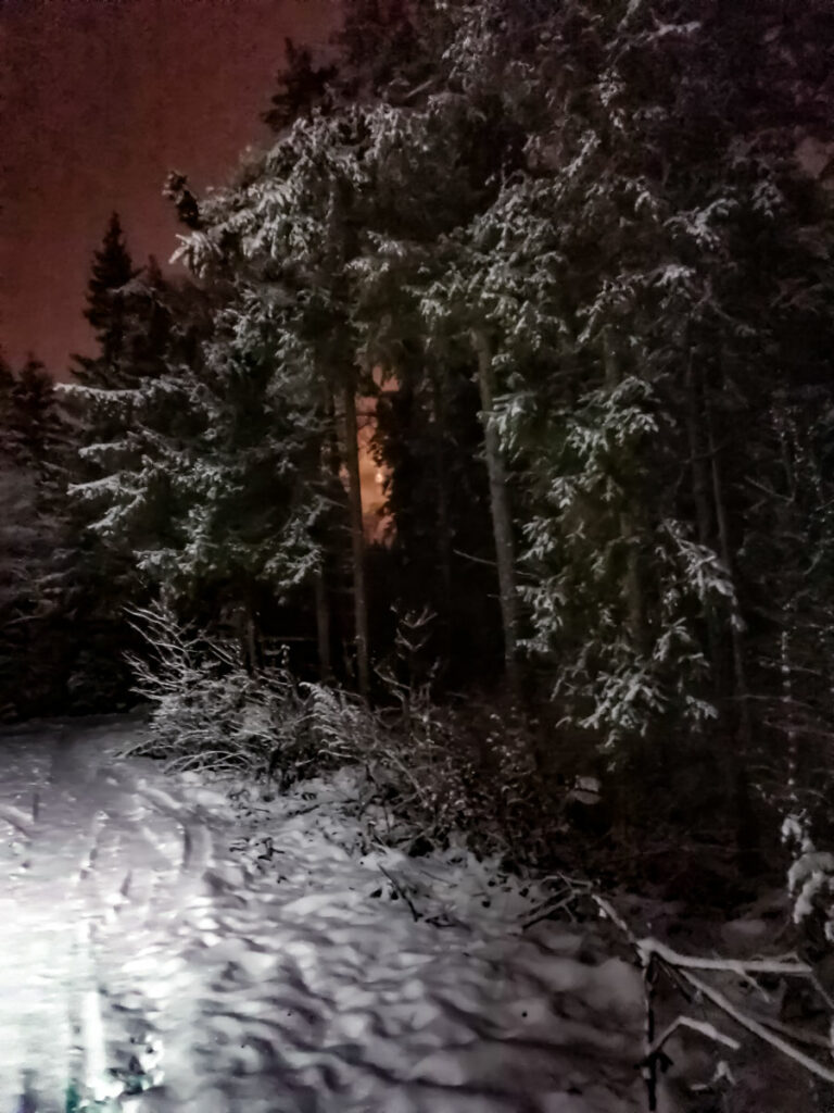 Фотопутешествие в зиму